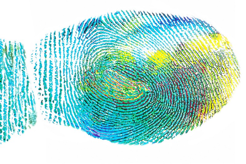 finger print