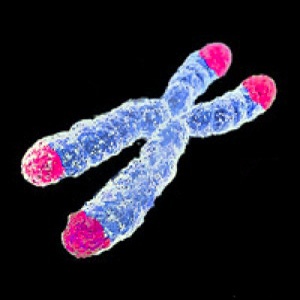 DNA