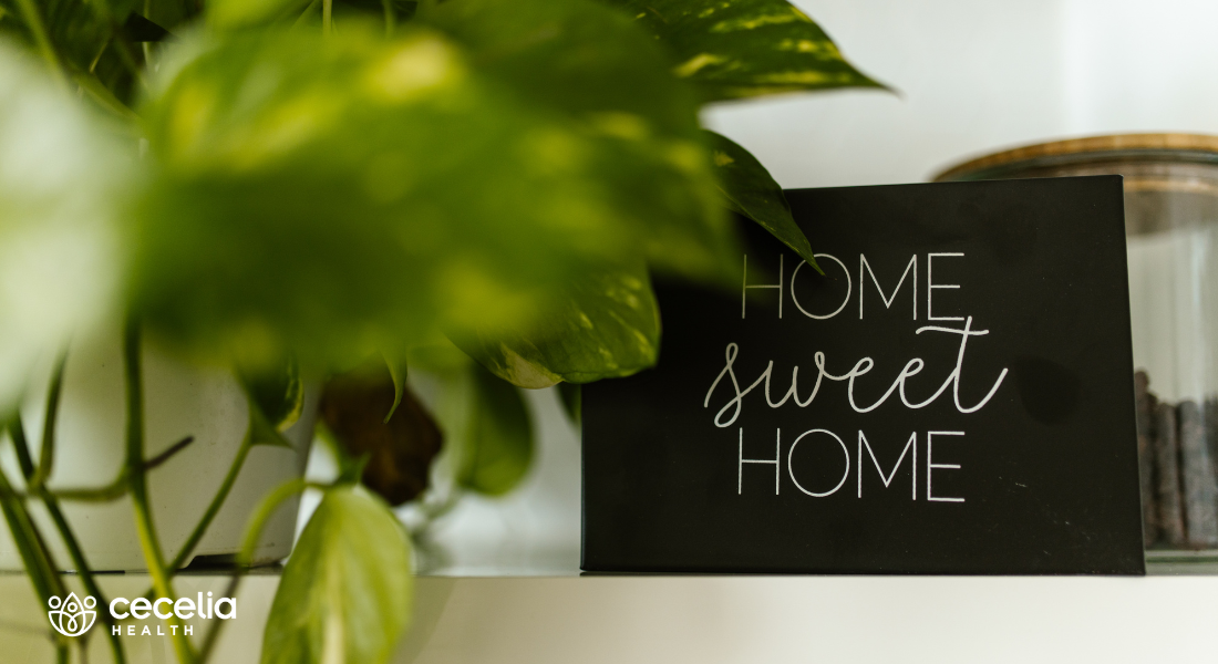 home sweet home sign next to house plant