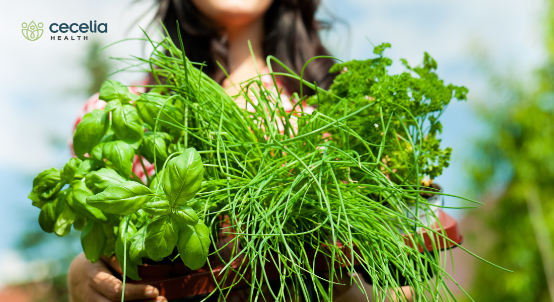 woman holding basket of fresh herbs